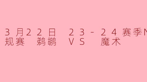 3月22日 23-24赛季NBA常规赛 鹈鹕 VS 魔术